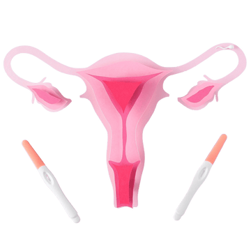 Gynaecology