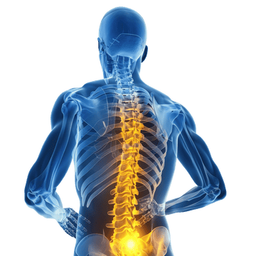 Physiotherapy & Rehabilitation Equipment